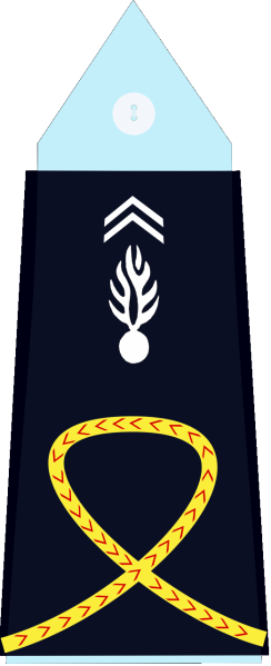 File:France (Gendarmerie) Student Officer.svg