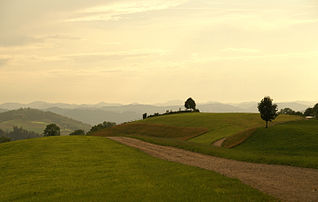 Les collines verdoyantes du Freudenberg, près de Saint-Gall (Suisse). (définition réelle 2 920 × 1 852)