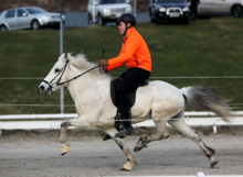 Een grijs paard wordt met hoge snelheid over een onverharde weg gereden door een man in een fel oranje shirt en een zwarte broek.  Een met gras begroeide bank en voertuigen worden op de achtergrond gezien.