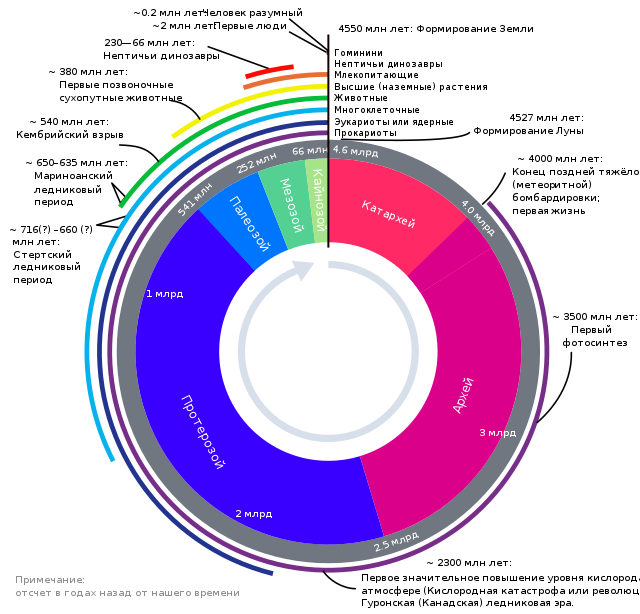 https://upload.wikimedia.org/wikipedia/commons/thumb/8/8d/Geologic_Clock_with_events_and_periods_ru.svg/640px-Geologic_Clock_with_events_and_periods_ru.svg.png
