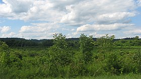 Green Bottom WMA looking toward Clover Site.jpg