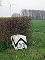 Sächsisch-Preußischer Grenzstein: Pilarpaar Nr. 50 sowie ein Läuferstein