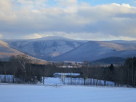 Greylock & Hopper