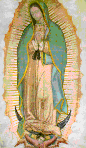 Gospa od Guadalupe, prikaz žene Apokalipse