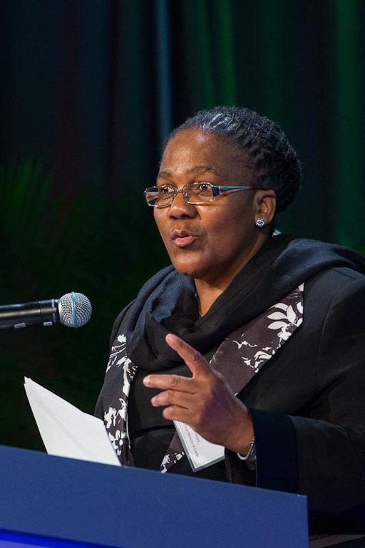 H.E. Dipuo Peters - Energy Minister in South Africa