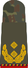 Generalmajor (bersara)