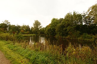 Rückhaltebecken am Grützmühlenweg