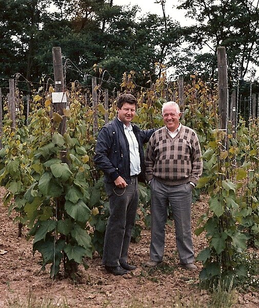 File:Hans Jörg Böhm mit Prof. Dr. H. Becker in Geisenheim.jpg