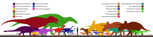 Acheroraptor and other fauna from Hell Creek (Acheroraptor in light orange) Hell Creek Formation Fauna.png