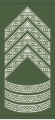 Seniorsergent af 1. grad (Warrant Officer Class 1)