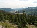 Hoosier Pass (Continental Divide)