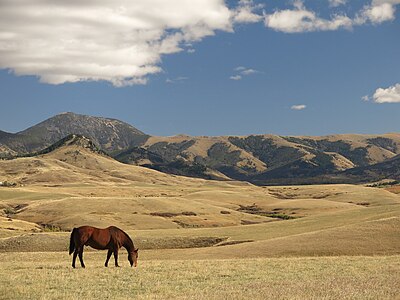 Rangeland under easement