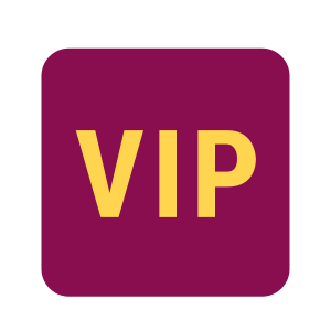 Icons8 flat vip.svg