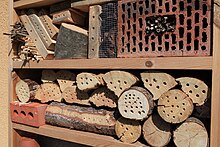 Insect hotel.jpg