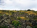 Fortezza dell'Età del ferro a Ushi.