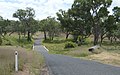 Wiedens Bridge over the Boyne River (Wide Bay–Burnett) at Template:Ironpot, Queensland}