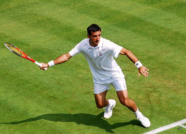 Dodig at the 2013 Wimbledon Championships