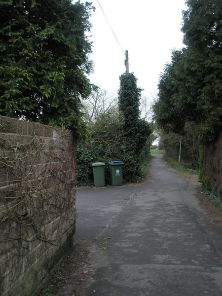 File:Ivy clad telegraph pole on Wicor Path - geograph.org.uk - 731783.jpg