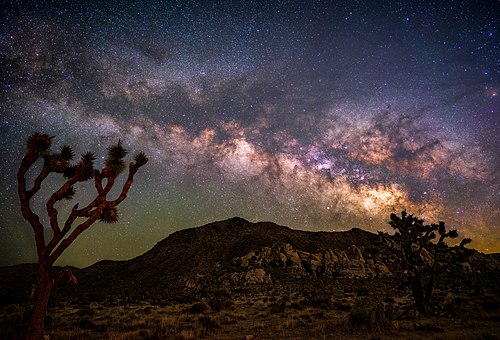 Joshua Tree Milky Way.jpg