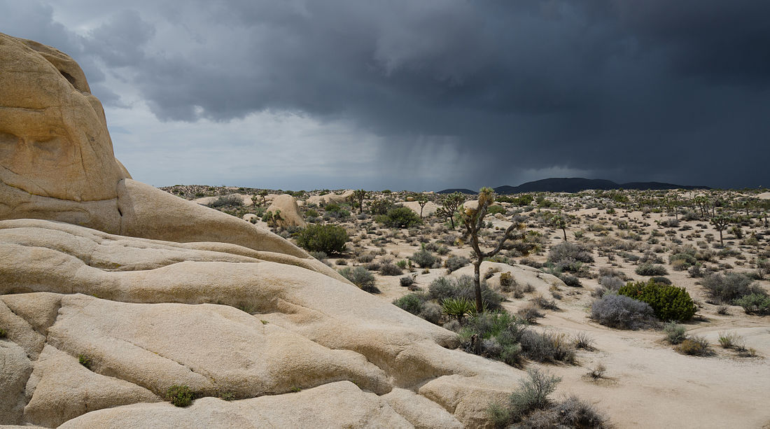 File:Joshua Tree Park approaching thunderstorm 02 2013.jpg