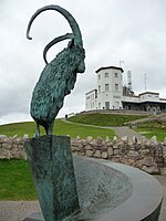 Kashmir Goat, Great Orme