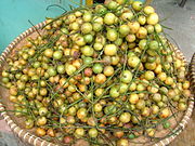 總花木奶果（英语：Baccaurea racemosa） Kapundung