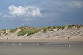 Koksijde: The dunes and the beach