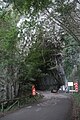 Entrada de la cueva desde Ribadesella.