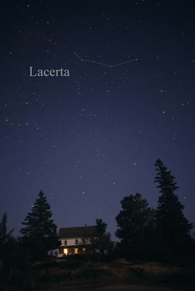 The constellation Lacerta as it can be seen by the naked eye.