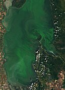 Oct 6 (2): Algal bloom in Lake Winnipeg