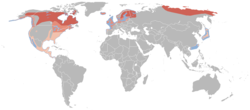Utbredelseskart for gråmåke