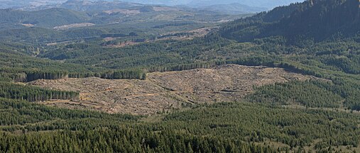 Clearcutting and road building, as in this area near the source of the Lewis and Clark River, may contribute to slope failure and affect surface water quality.
