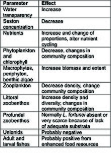 Summary of known and potential effects of Limnoperna fortunei on the freshwater biota Lf effects.jpg