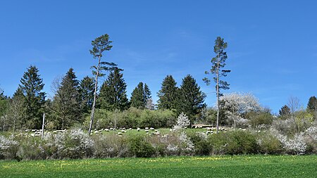 Lichtenauer Hochland (1)