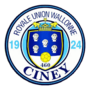 Vignette pour Royale Union wallonne Ciney