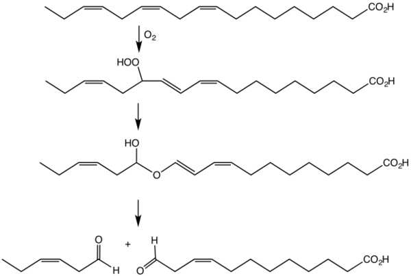 An illustrative transformation involving a hydroperoxide lyase. Here cis-3-hexenal is generated by conversion of linolenic acid to the hydroperoxide by the action of a lipoxygenase followed by the lyase-induced formation of the hemiacetal. LyaseNonenalHemiAc.png