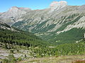 vallon de Laverq, commune de Méolans-Revel, Alpes-de-Haute-Provence