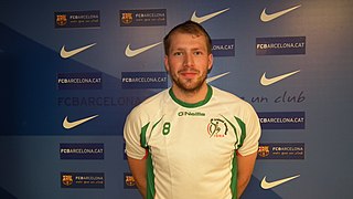 <span class="mw-page-title-main">Mark Ferguson (handballer)</span> Irish handballer