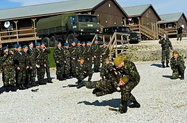 79. separate Luftmobilbrigade im Kosovo.  Demonstrationsklassen, 2010