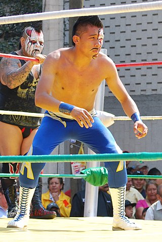 <span class="mw-page-title-main">Mercurio (wrestler)</span> Mexican professional wrestler