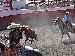 Horse tripping is a controversial charreada event banned in nine US states. Mexican charro forefooting on horseback.jpg