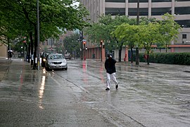Milwaukee (WIS) N 5th St " Tree, Rain, Wind " Pedestrian 1.jpg