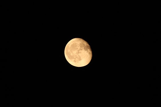 Moon in the Sky at Night