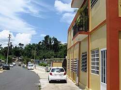 Morovis Norte, Maga Street.jpg