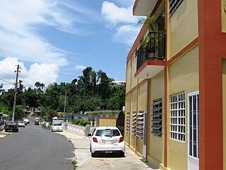 <span class="mw-page-title-main">Morovis Norte</span> Barrio of Morovis, Puerto Rico