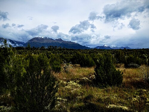 A photo of Mount Burns taken from the Burnt Ridge Track