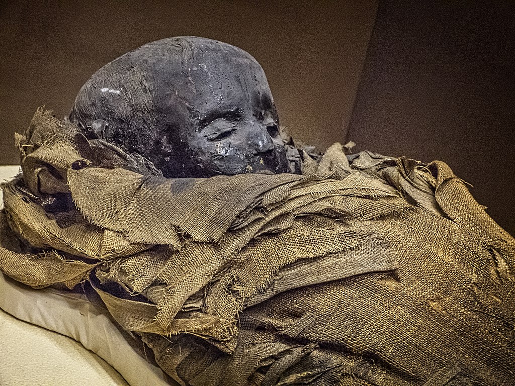 https://upload.wikimedia.org/wikipedia/commons/thumb/8/8d/Mummy_of_a_child_Greco-Roman_Period_Egypt_Penn_Museum.jpg/1024px-Mummy_of_a_child_Greco-Roman_Period_Egypt_Penn_Museum.jpg