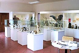 Museo delle Scienze Naturali - Cesena.jpg