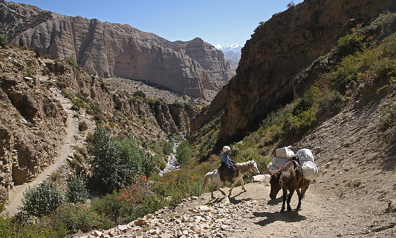 File:Mustang-Samar to Syangboche-06-2015-gje.jpg