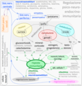 Vignette pour Neuroimmunologie